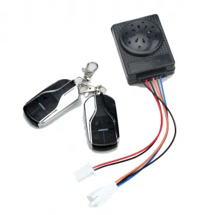 انذار مع 2 ريموت